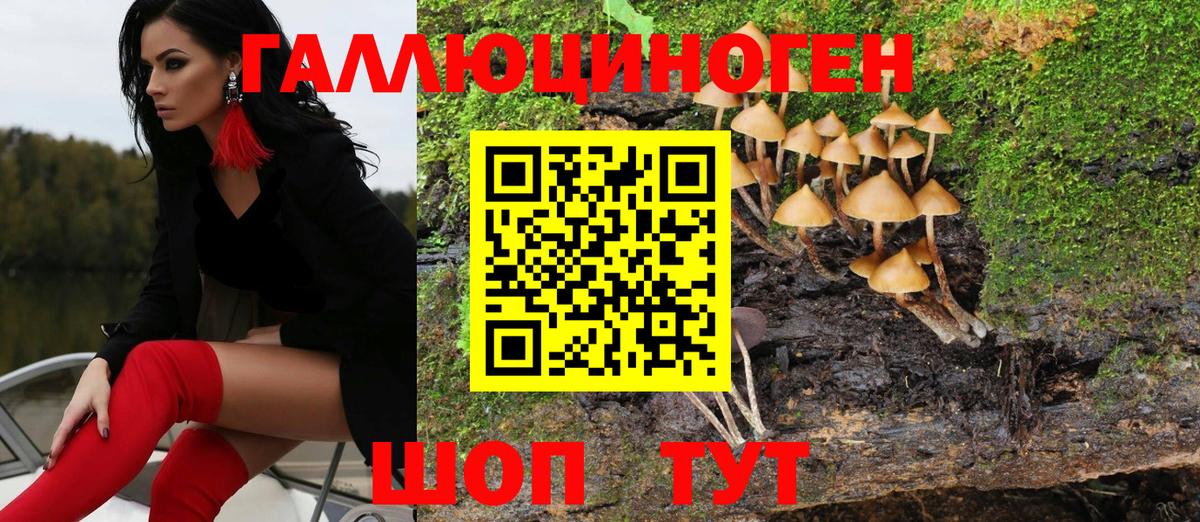 Псилоцибиновые грибы мицелий Вязьма